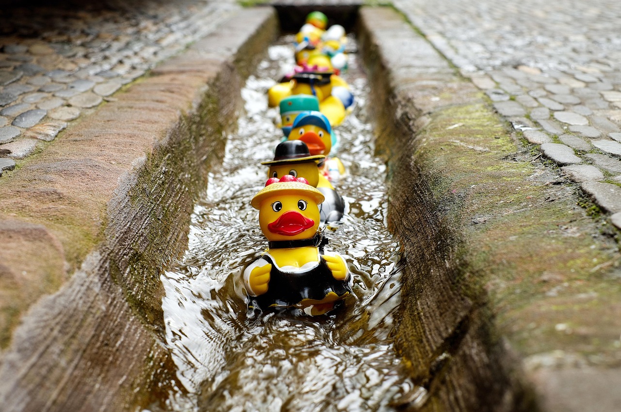 Photographie de plusieurs canards en plastique déguisés, les uns après les autres, dans une rigole d'eau
