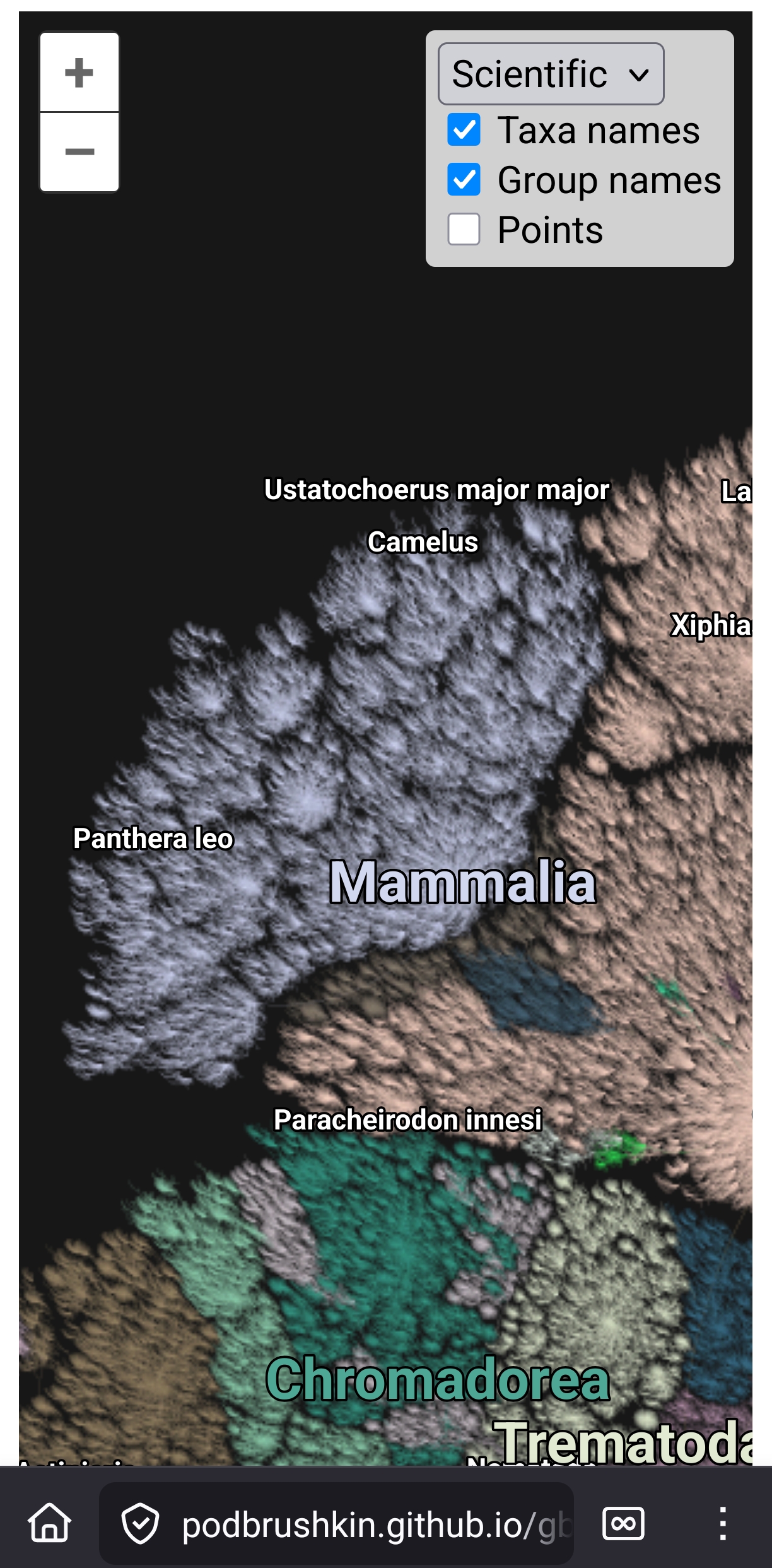 Mammalia: upper left corner