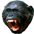emoji monke-rage monke-rage