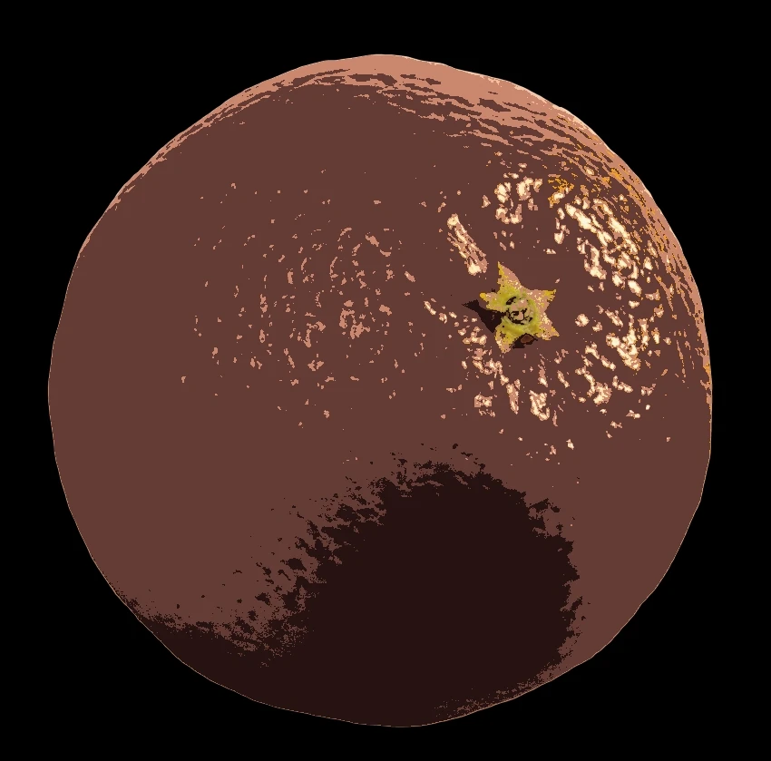 1000010392