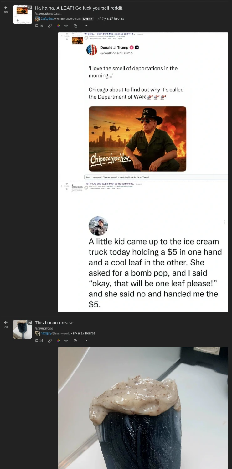 Screenshot of Lemmy, showing two posts next to each other; one is the post I'm commenting under, heroically showing the contrast on Reddit between commentary on an escalating fascist state and a vapid repost everyone has seen a million times. The next post is titled "This bacon grease" with the image of bacon grease on a spatula.