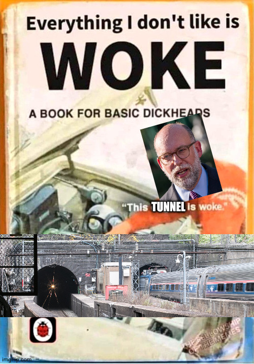 russel vought in everything i don't like is woke meme. This tunnel is woke