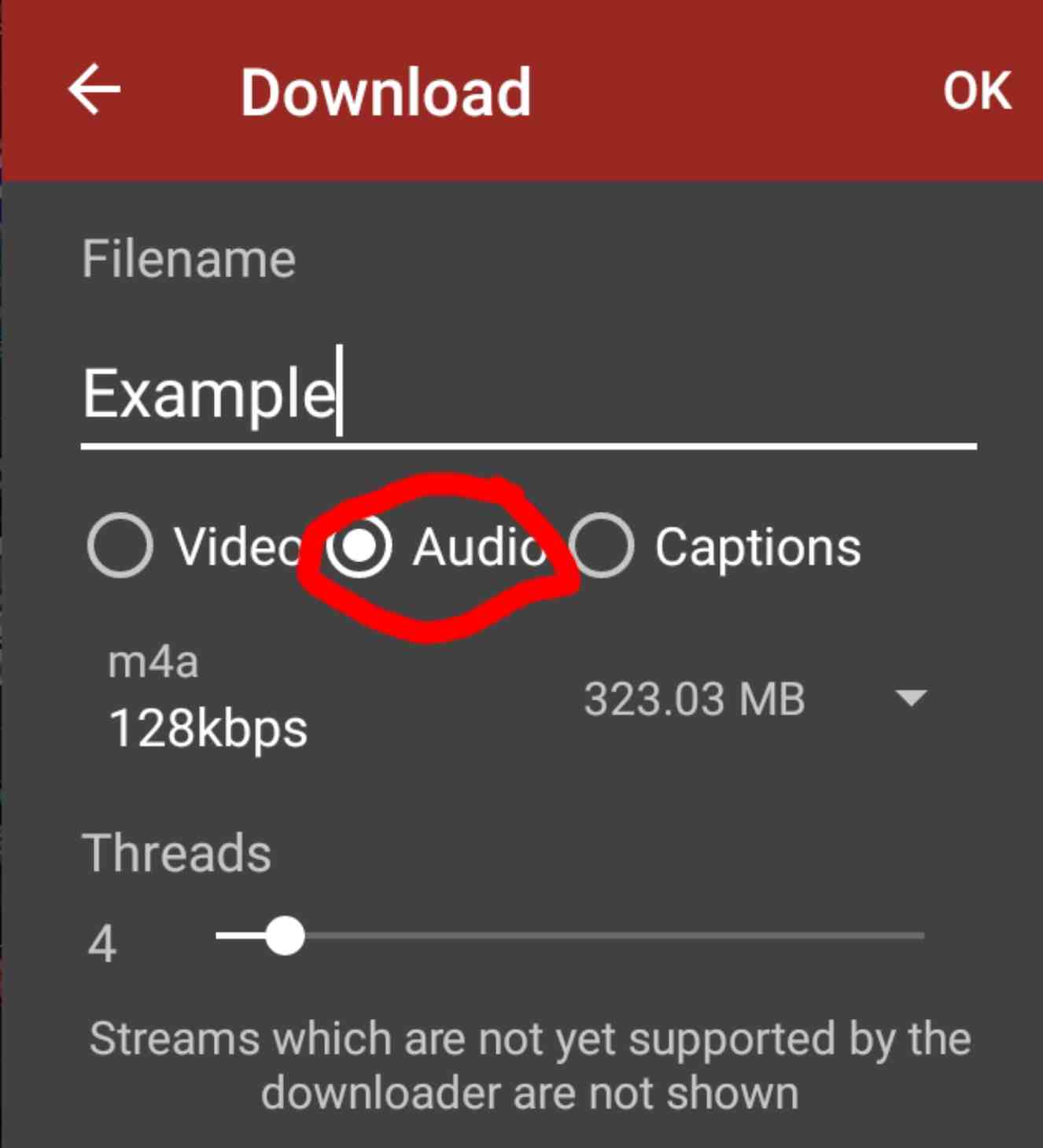 Screenshot of a pop-up in NewPipe titled "Download". It contains a radio button with three options, which are "Video", "Audio", and "Captions". The "Audio" option is selected and highlighted.
