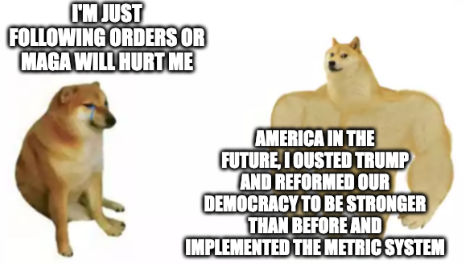 Crying doge "I'm just following orders or maga will hurt me" Buff doge "America in the future, I ousted trump and reformed our democracy to be stronger than before and implemented the metric system"