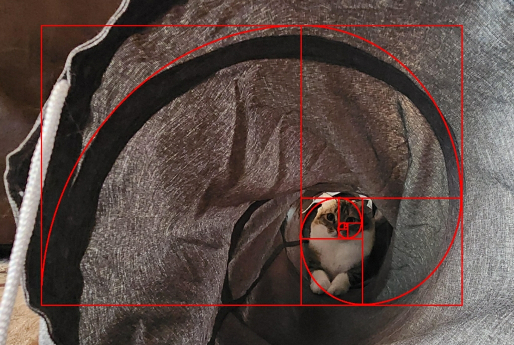 Fibonacci cat