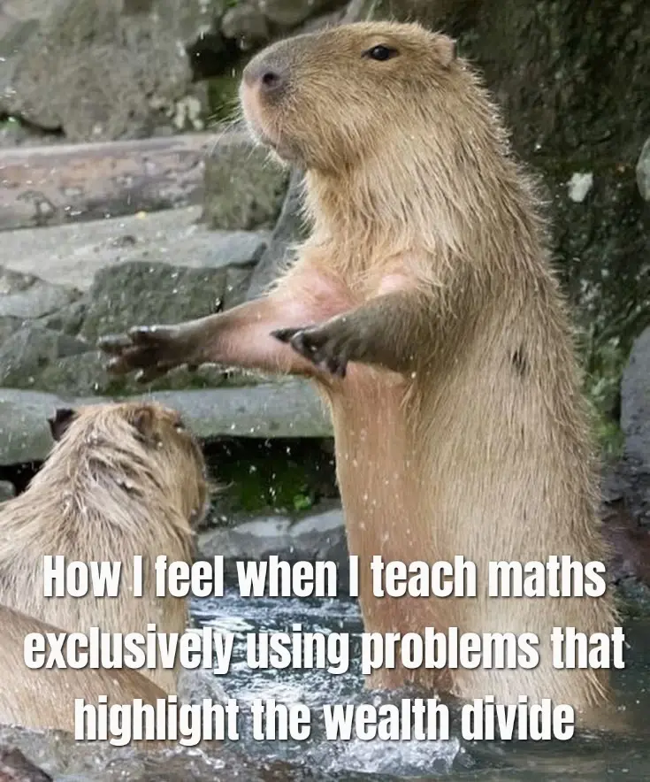 Capybara standing over another in a posture that suggests preaching. Captioned with the text "How I feel when I teach maths exclusively using problems that highlight the wealth divide".