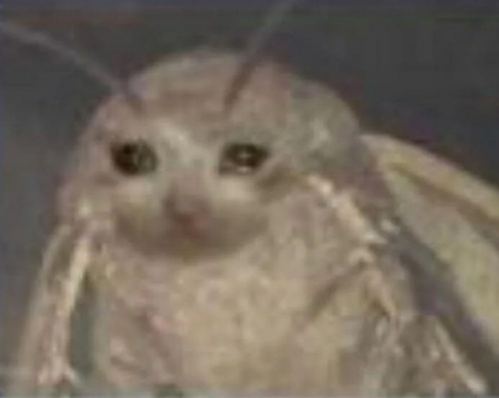 20250621_011020