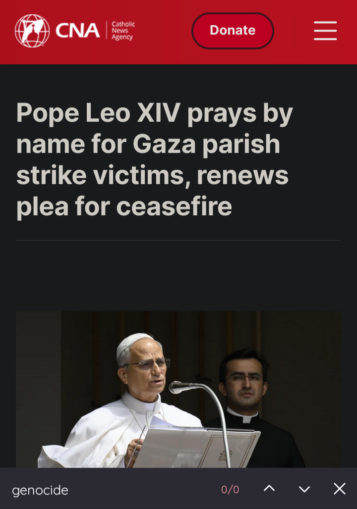 Screenshot of article with Ctrl+F search for "genocide' with 0 results