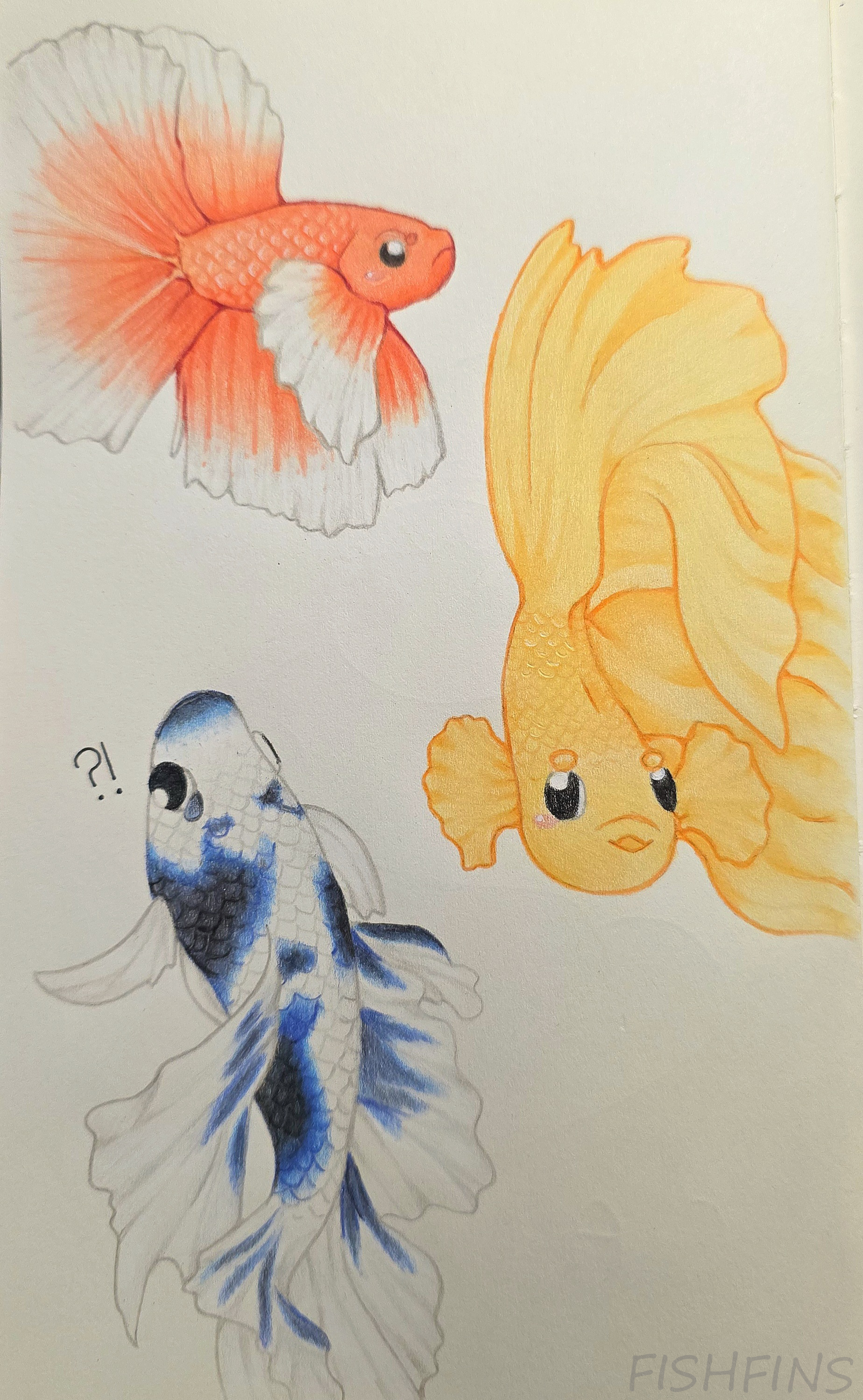 Three long-finned betta fish with flowy fins drawn in colored pencils. Top to bottom is a red, angry betta with white gradient fins looking to the right, a yellow/orangeish betta with giant flowy fins looking ahead at you with a smile, and a white betta with some black spots that fade to dark blue where the spot blends to white, looking up, seemingly surprised.