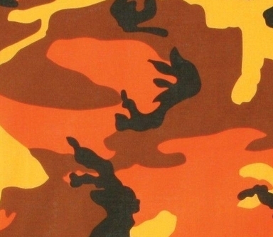 example of camo with orange, yellow, black and brown colors in the same pattern as the usual greens and browns