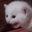 Ahhhhhhhhhhhhhhhh