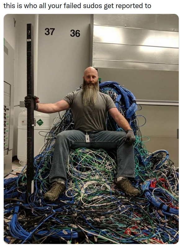 Person with long beard sitting atop their throne of cables and holding a huge power bar like a staff. Likely in an old server room. Captioned: "this is who all your failed sudos get reported to"