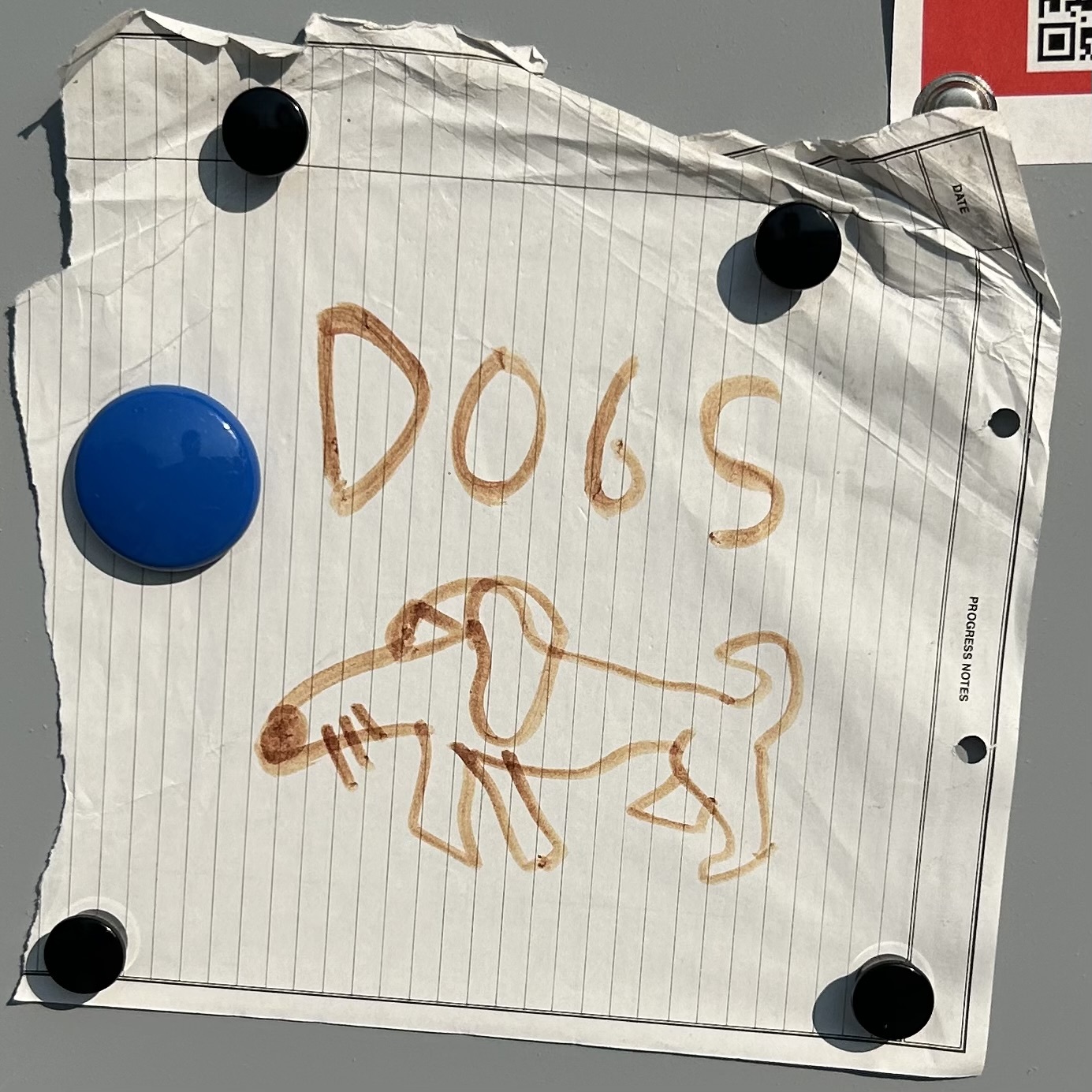 A rough sketch of a dog with the word dogs written above. The sketch is on lined paper and held to a bulletin board with magnets. 