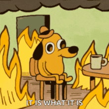 this is fine 