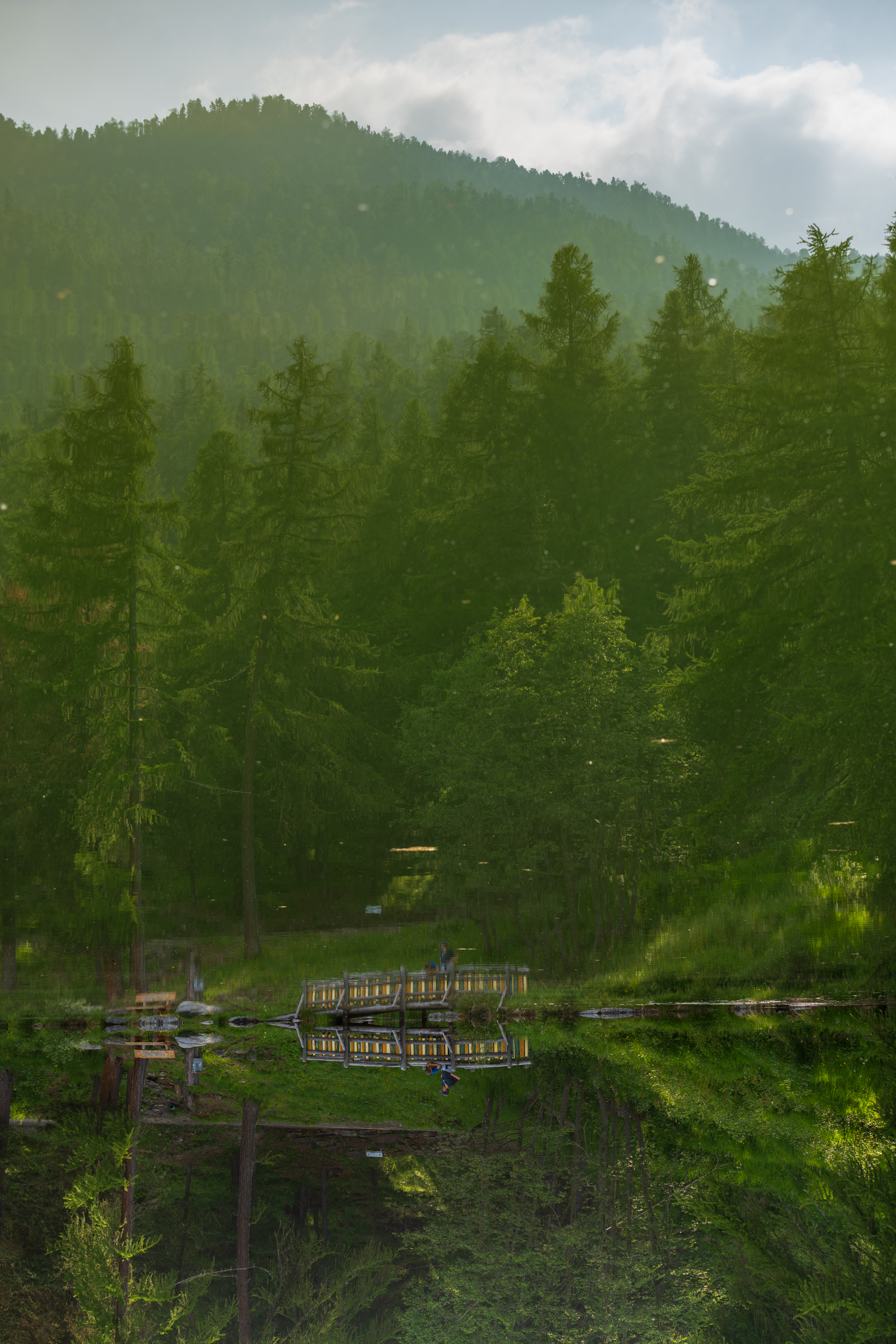 a flipped photo: mostly the reflection in a little lake of a moun tain with green trees; also a pedestrian bridge along the waterfront, with two people barely visible. 