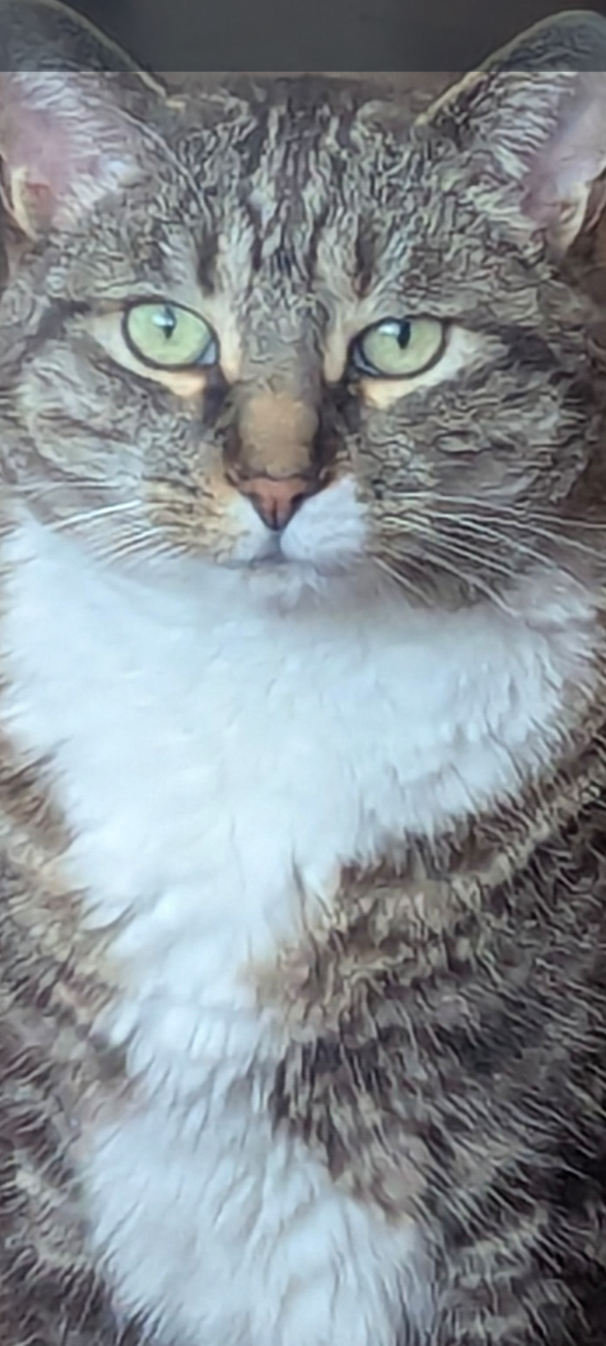 After taking his meds 