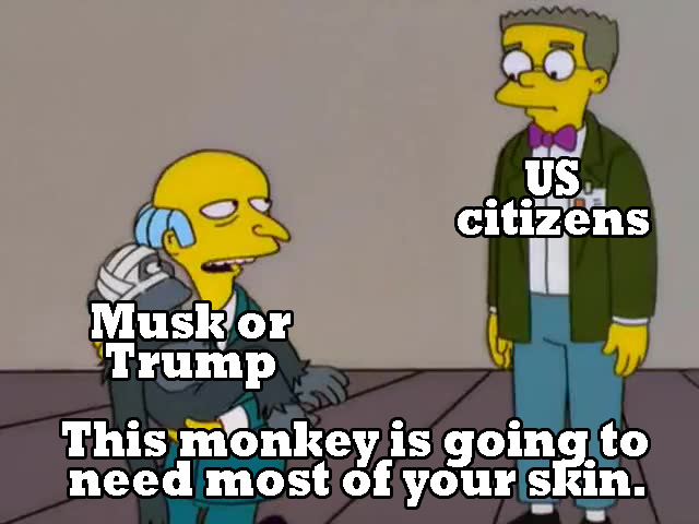 Scene from The Simpsons. Burns is holding a monkey and looking at Smithers. Above the monkey, text reads "Musk or Trump." Above Smithers, "U.S. citizens." Below, Burns says, "This monkey is going to need most of your skin."