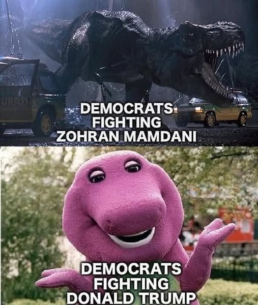 Two panel meme. Top panel shows a T-Rex from Jurassic Park mid-roar. Text says: "Democrats fighting Zohran Mamdani" Bottom panel shows Barney the purple dinosaur. Text says: "Democrats fighting Donald Trump"