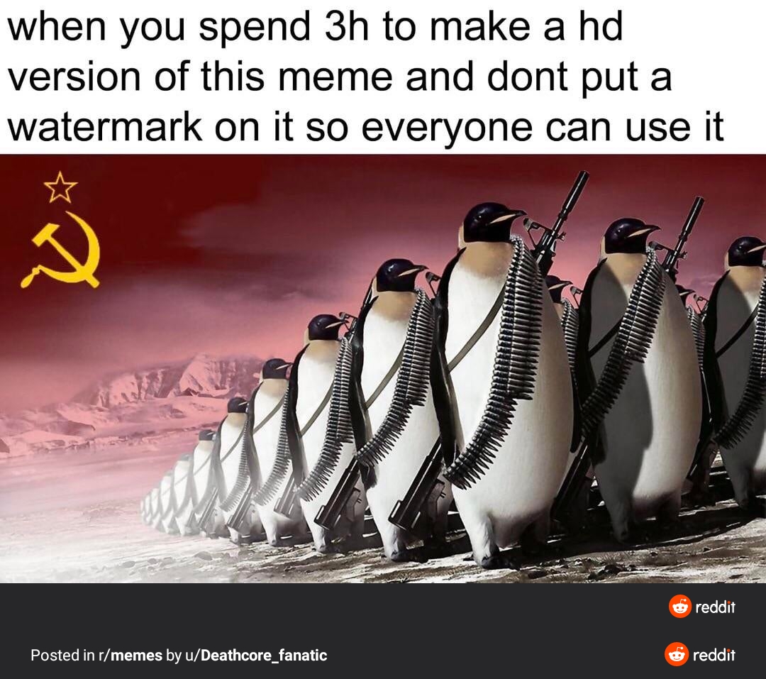 Penguins meme