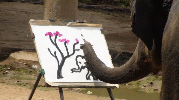 Elephant drawing himself