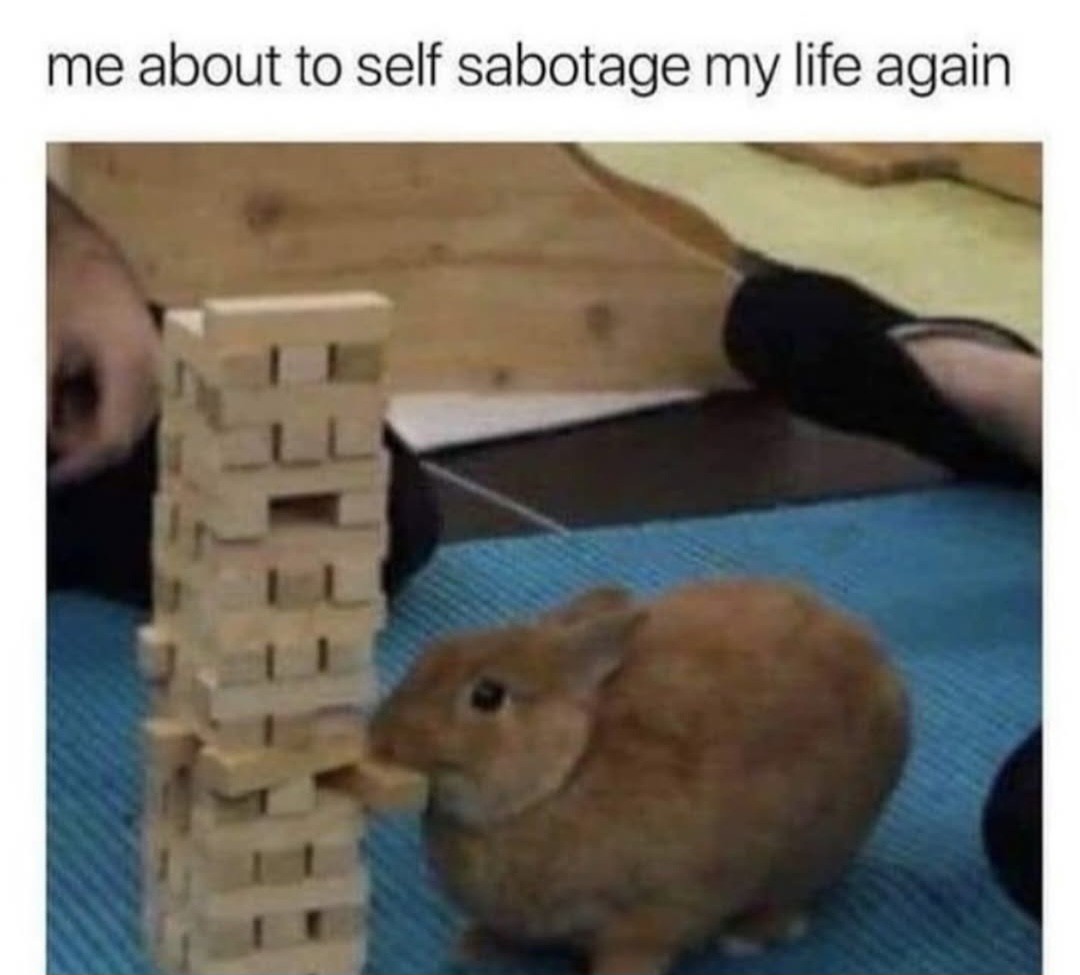 2meirl4irl
