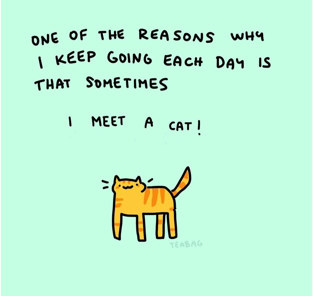 Have a good week everyone!