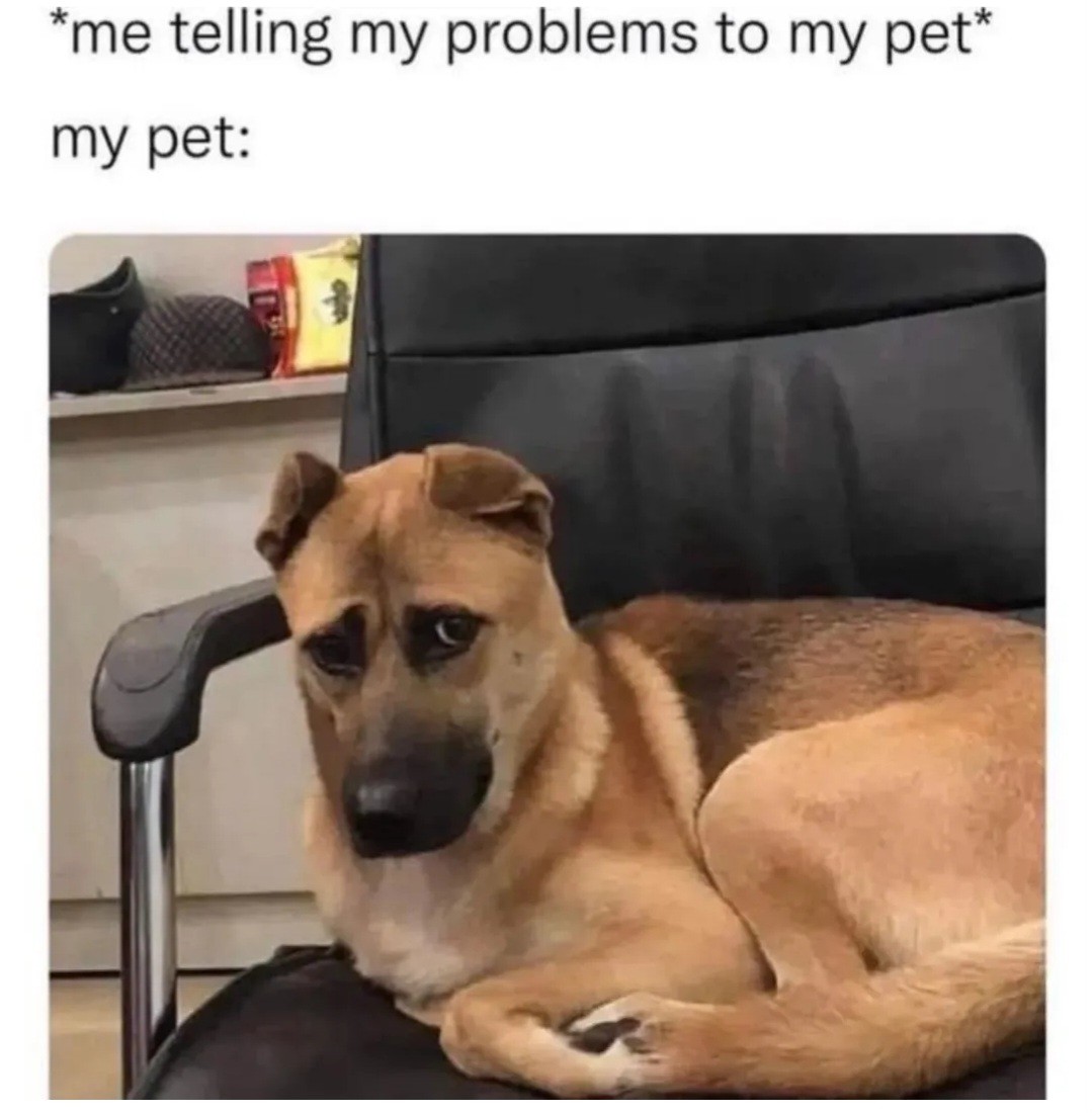 DAE do this?