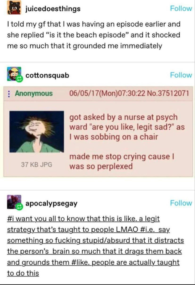 Post:'I told my gf that I was having an episode earlier and she replied “is it the beach episode” and it shotcked me so much that it grounded me immediately' Reply:'go asked by a nurse at psych ward "are you like, legit sad?" as I was sobbing on a chair. made me stop crying cause I was so perplexed' Reply:'#i want you all to know that this is like. a legit strategy that’s taught to people LMAO #i.e. say something so fucking stupid/absurd that it distracts the person’s brain much that it drags them back and grounds them #like. people are actually taught to do this'