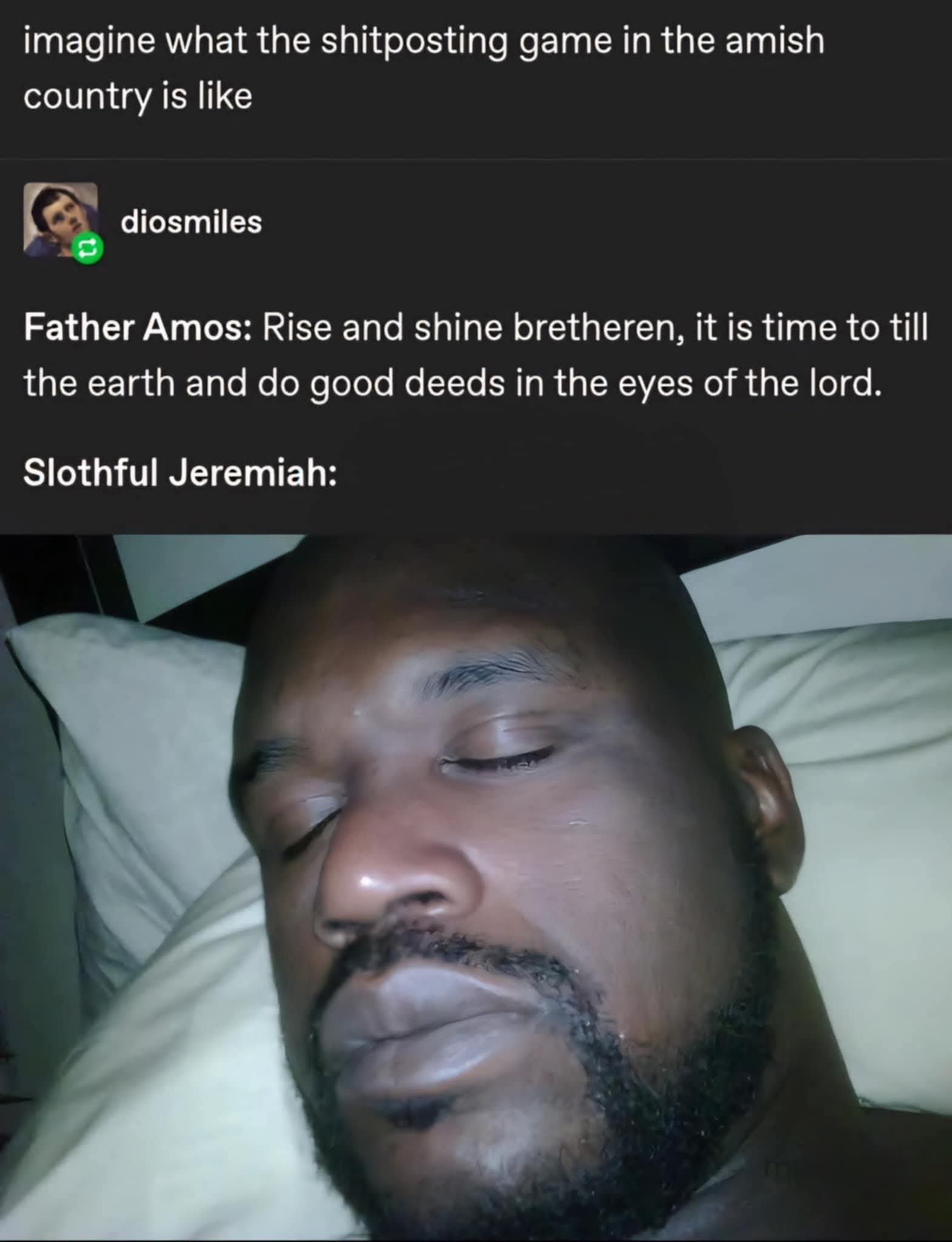 Tumblr user says "Imagine what the shitposting game in the Amish country is like"

User diosmiles says "Father Amos: rise and shine brethren, it is time to till the earth and do good deeds in the eyes of the Lord", followed by "slothful Jeremiah", and an image of Shaquille O'Neal sleeping