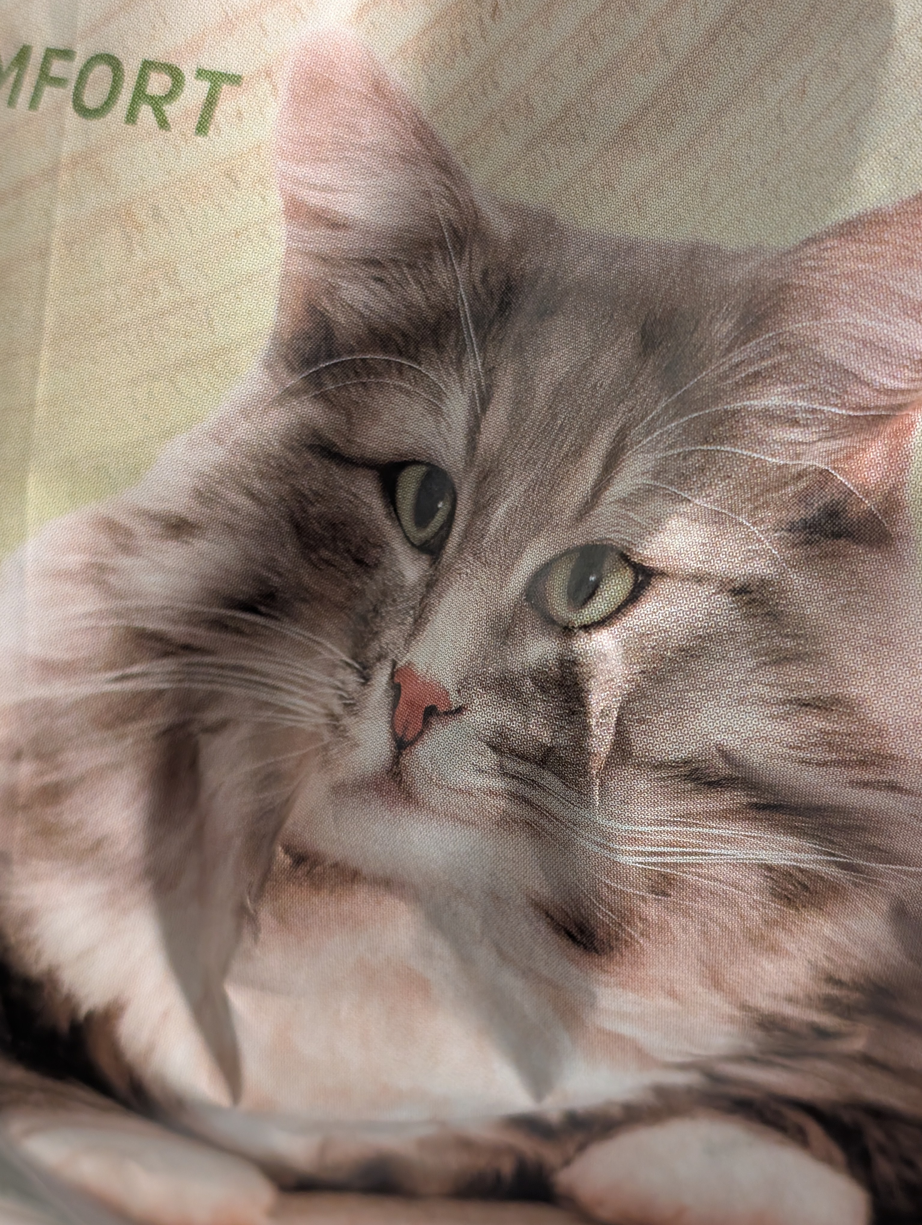 Eine Packung Katzenstreu, bei der ein Knick in der Tüte eine Pespektivverzerrung hervorruft 