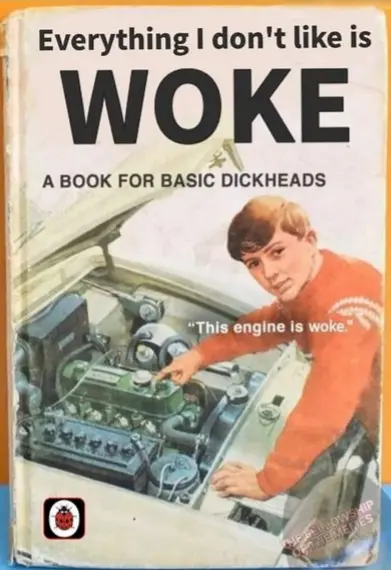 Book cover: Everything I don't like is woke